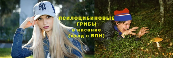 дурь Алзамай